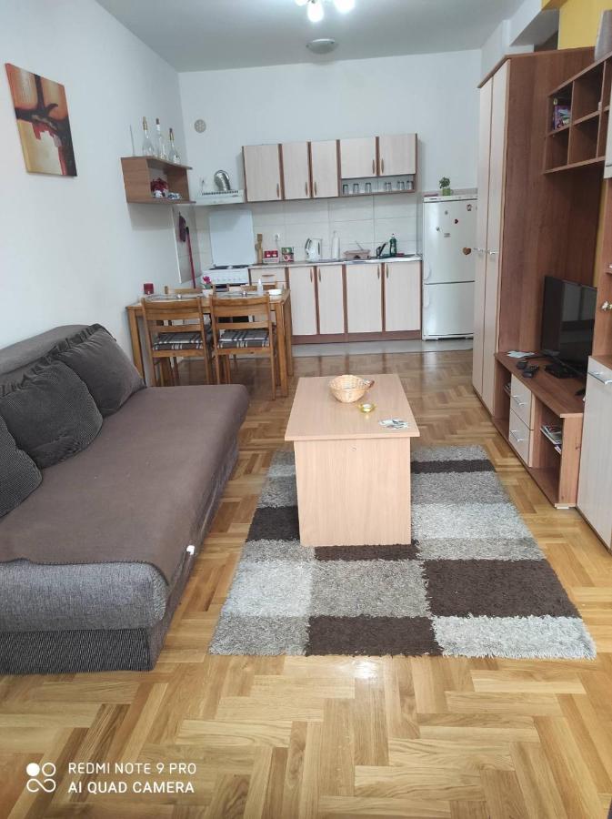 Apartman Marina Sa Garazom 노비사드 외부 사진