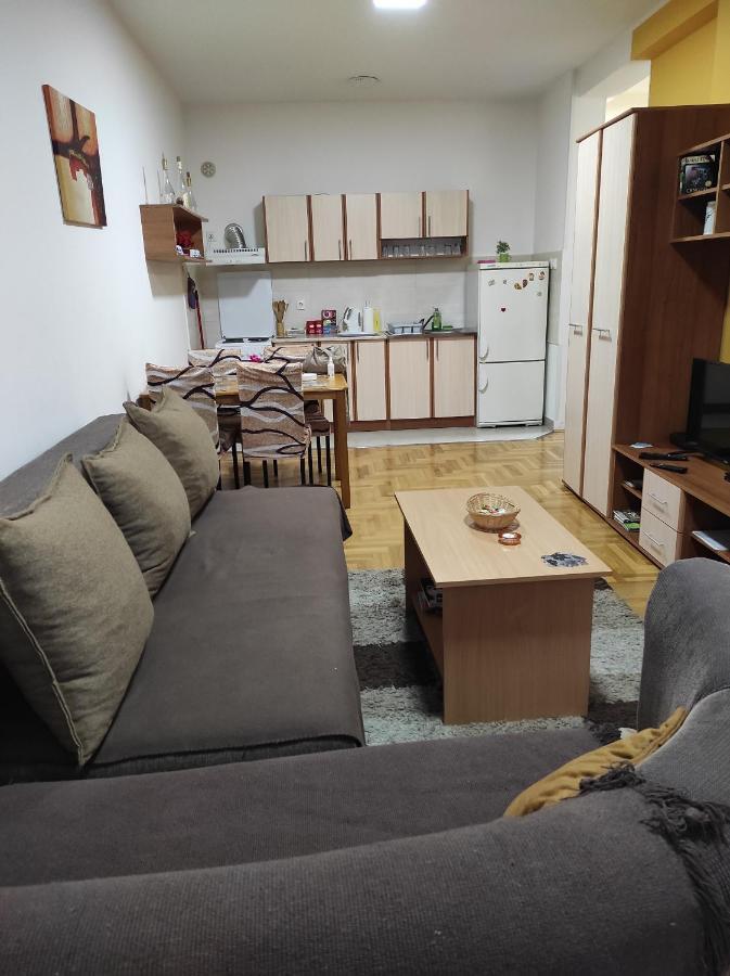 Apartman Marina Sa Garazom 노비사드 외부 사진