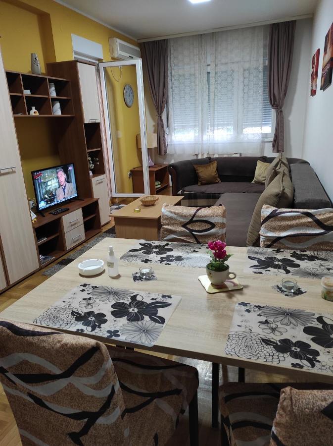 Apartman Marina Sa Garazom 노비사드 외부 사진