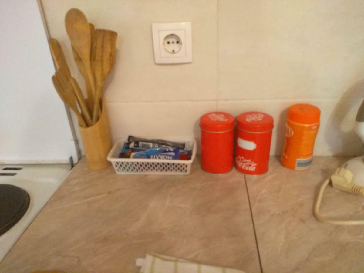 Apartman Marina Sa Garazom 노비사드 외부 사진