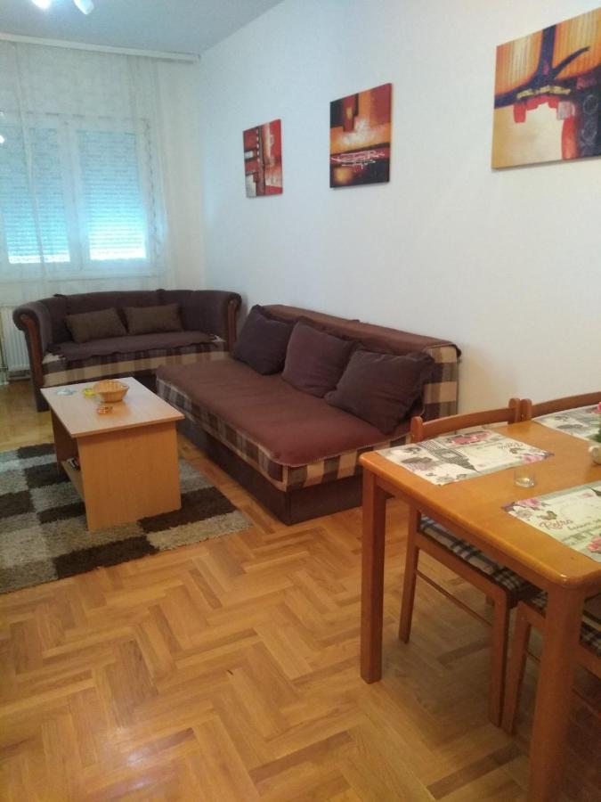 Apartman Marina Sa Garazom 노비사드 외부 사진