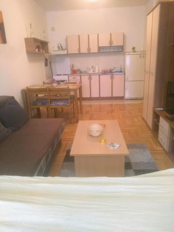 Apartman Marina Sa Garazom 노비사드 외부 사진